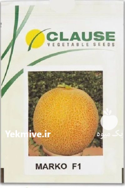 فروش بذر ملون MARKO F 1 کلوز در اهواز در گروه خرید و فروش بذر ملون در یکمیوه -عکس1