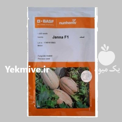 فروش بذر ملون جانا نانهمز هلند در گروه خرید و فروش بذر ملون در یکمیوه -عکس1