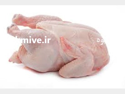 پر کن مرغ اتوماتیک در گروه تجهیزات مرغداری در یکمیوه -عکس3
