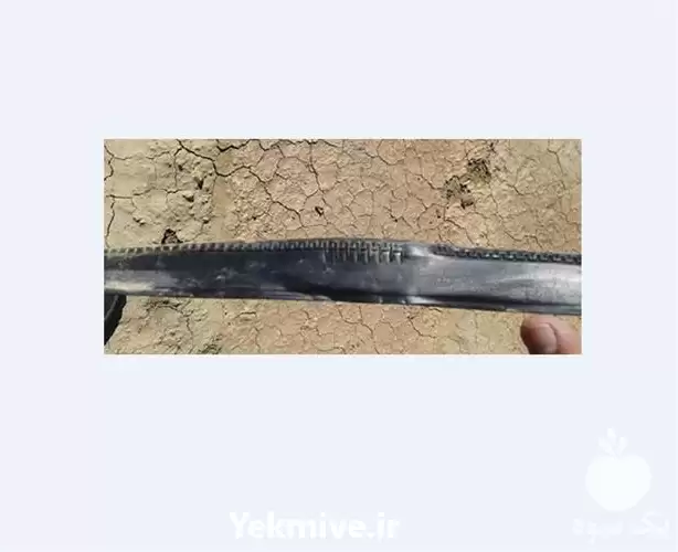 فروش نوار آبیاری در گروه خرید و فروش نوار تیپ در یکمیوه -عکس1