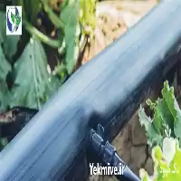 قیمت خرید لوله های تاشو مناسب در قزوین در گروه خرید و فروش لوله کشاورزی در یکمیوه