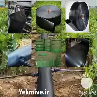 قیمت خرید لوله پلی اتیلن در مشهد در گروه خرید و فروش لوله پلی اتیلن در یکمیوه
