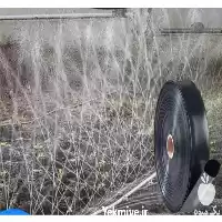 قیمت خرید ویژه نوار تیپ در اصفهان در گروه خرید و فروش نوار تیپ در یکمیوه