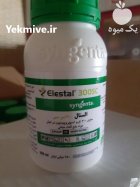 سم رفع پسیل پسته سم حشره در اهواز در گروه خرید و فروش انواع سم در یکمیوه