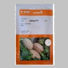 فروش بذر ملون جانا نانهمز هلند در گروه خرید و فروش بذر ملون در یکمیوه