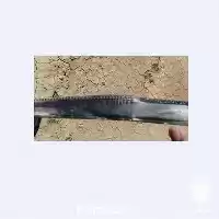 فروش نوار آبیاری در گروه خرید و فروش نوار تیپ در یکمیوه