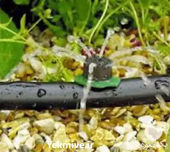 نوار تیپ آبیاری کارخانه تولیدی در تهران در گروه خرید و فروش نوار تیپ در یکمیوه -عکس1