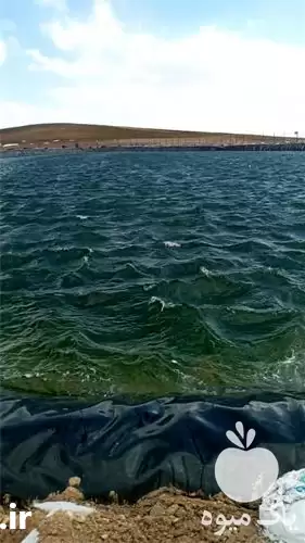 فروش استخر ذخیره آب کشاورزی در تبریز در گروه خرید و فروش استخر کشاورزی در یکمیوه -عکس1