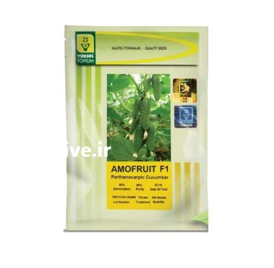 فروش بذر خیار گلخانه ای آموفروت در اهواز در گروه خرید و فروش بذر خیار در یکمیوه -عکس1