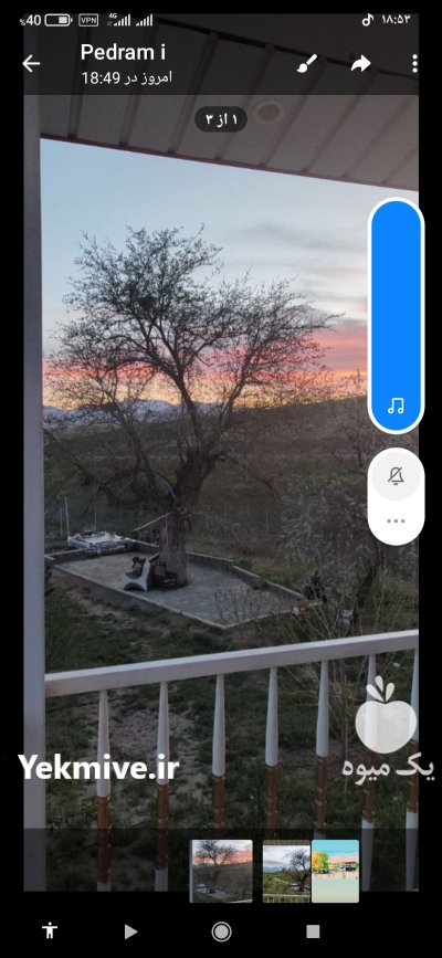 خریدار چوب در سنندج در گروه خرید و فروش انواع چوب در یکمیوه -عکس1