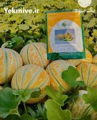 فروش بذر ملون شاهسون اینوواسید ایتالیا در اهواز در گروه خرید و فروش بذر ملون در یکمیوه