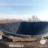 قیمت خرید ساخت استخرهای کشاورزی در تبریز در گروه خرید و فروش ژئوممبران و ژئوتکستایل در یکمیوه