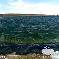 فروش استخر ذخیره آب کشاورزی در تبریز در گروه خرید و فروش استخر کشاورزی در یکمیوه