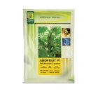 فروش بذر خیار گلخانه ای آموفروت در اهواز در گروه خرید و فروش بذر خیار در یکمیوه