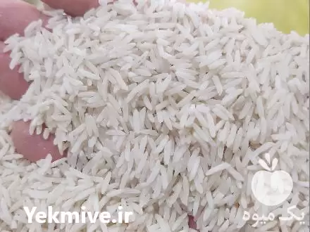 قیمت خرید برنج هاشمی فوق ممتاز در نظرآباد در گروه خرید و فروش برنج در یکمیوه -عکس1
