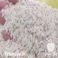 قیمت خرید برنج هاشمی فوق ممتاز در نظرآباد در گروه خرید و فروش برنج در یکمیوه