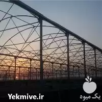 ساخت و اجرای گلخانه در گروه سازنده در یکمیوه