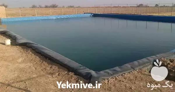 فروش اجرای استخر پلیمری در یزد در گروه خرید و فروش ژئوممبران و ژئوتکستایل در یکمیوه -عکس1