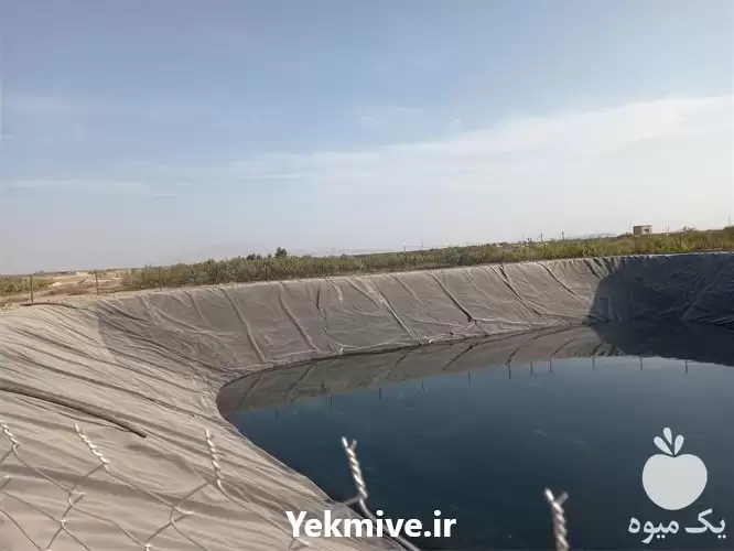 فروش استخر پلیمری کشاورزی در یزد در گروه خرید و فروش استخر کشاورزی در یکمیوه -عکس1