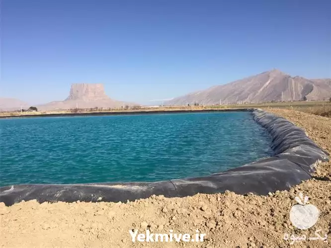فروش استخرهای پلیمری در شیراز در گروه خرید و فروش ژئوممبران و ژئوتکستایل در یکمیوه -عکس1