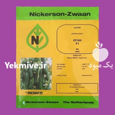 بذر خیار نیکرسون کیهان فروش عمده در گروه خرید و فروش بذر خیار در یکمیوه -عکس1