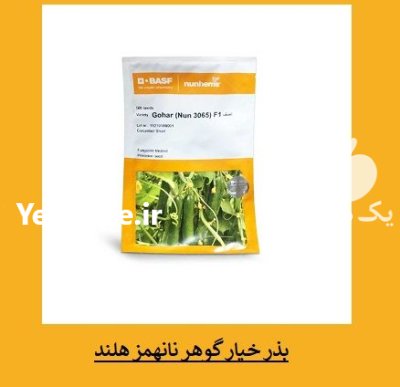 فروش بذر خیار Gohar فروش عمده در اهواز در گروه خرید و فروش بذر خیار در یکمیوه -عکس1