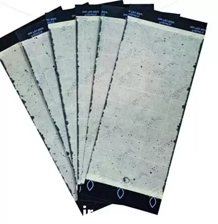 فروش کارت مشکی جذب حشرات در تهران در گروه خرید و فروش انواع سم در یکمیوه -عکس1