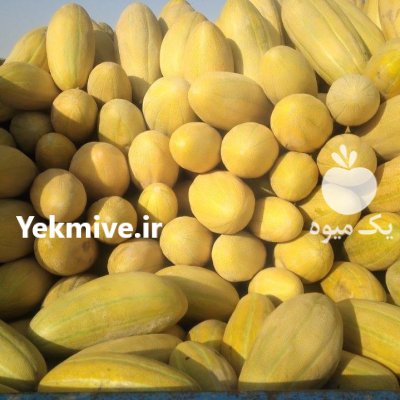 خربزه مشهد خربزه مشهدی در گروه خرید و فروش خربزه در یکمیوه -عکس1