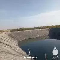 فروش استخر پلیمری کشاورزی در یزد در گروه خرید و فروش استخر کشاورزی در یکمیوه