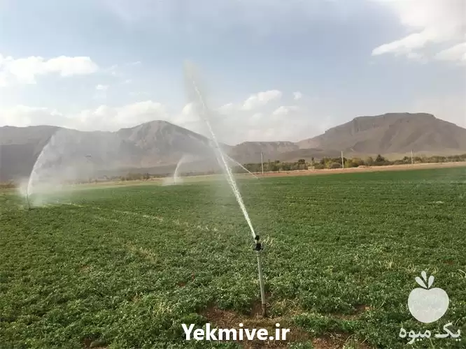 قیمت خرید آبپاش بارانی فلزی طرح در تهران در گروه خرید و فروش آبپاش کشاورزی در یکمیوه -عکس1