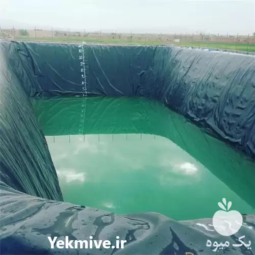 قیمت خرید استخر ذخیره آب کشاورزی در ارومیه در گروه خرید و فروش استخر کشاورزی در یکمیوه -عکس1