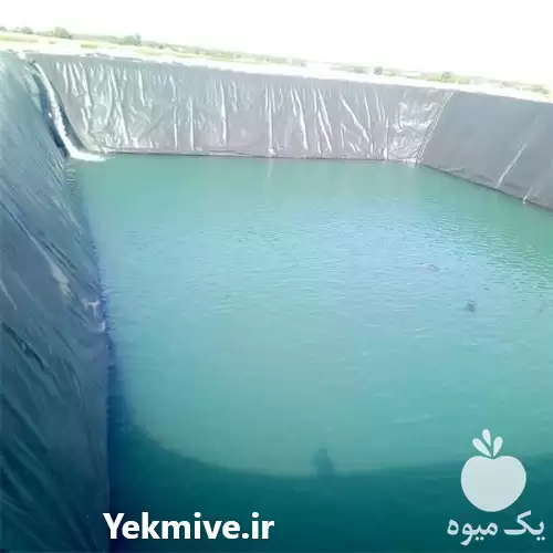 فروش استخر کشاورزی ژئوممبران جهت ذخیره در گروه خرید و فروش ژئوممبران و ژئوتکستایل در یکمیوه -عکس1