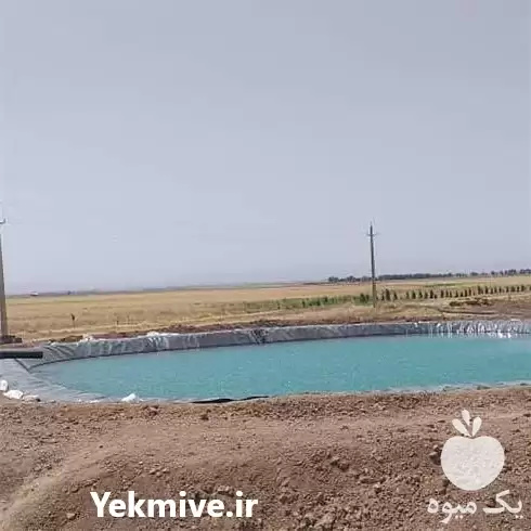 فروش احداث استخر ذخیره آب در گروه خرید و فروش استخر کشاورزی در یکمیوه -عکس1
