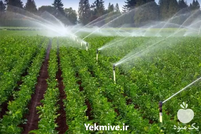 قیمت خرید عرضه کلیه تجهیزات آبیاری در گروه خرید و فروش انواع تجهیزات آبیاری در یکمیوه -عکس1