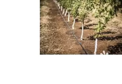 فروش طراحی اجرای سیستم های آبیاری در گروه خرید و فروش دستگاه آبیاری در یکمیوه -عکس1