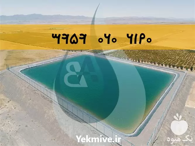 قیمت خرید احداث استخر ژئوممبران عایق در مشهد در گروه خرید و فروش ژئوممبران و ژئوتکستایل در یکمیوه -عکس1