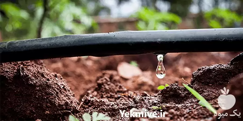 قیمت خرید لوازم آبیاری قطره ای در مشهد در گروه خرید و فروش دستگاه آبیاری در یکمیوه -عکس1