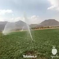 قیمت خرید آبپاش بارانی فلزی طرح در تهران در گروه خرید و فروش آبپاش کشاورزی در یکمیوه