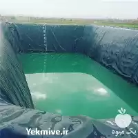 قیمت خرید استخر ذخیره آب کشاورزی در ارومیه در گروه خرید و فروش استخر کشاورزی در یکمیوه