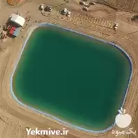 قیمت خرید طراحی و ساخت استخر در ارومیه در گروه خرید و فروش ژئوممبران و ژئوتکستایل در یکمیوه