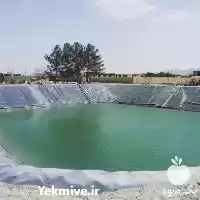 فروش استخر آبیاری در گروه خرید و فروش استخر کشاورزی در یکمیوه