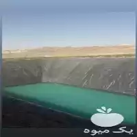 قیمت خرید احداث استخر کشاورزی بسیار در ارومیه در گروه خرید و فروش استخر کشاورزی در یکمیوه