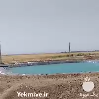 فروش احداث استخر ذخیره آب در گروه خرید و فروش استخر کشاورزی در یکمیوه