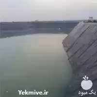 فروش هزینه ساخت استخر با ورق در اردبیل در گروه خرید و فروش استخر کشاورزی در یکمیوه