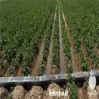 قیمت خرید عرضه انواع رول پلاستیکی در گرگان در گروه خرید و فروش اتصالات و تجهیزات آبیاری در یکمیوه