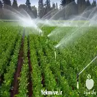قیمت خرید عرضه کلیه تجهیزات آبیاری در گروه خرید و فروش انواع تجهیزات آبیاری در یکمیوه