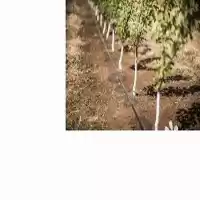 فروش طراحی اجرای سیستم های آبیاری در گروه خرید و فروش دستگاه آبیاری در یکمیوه