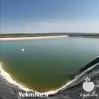 قیمت خرید اجرای استخر مخازن لاینینگ در اصفهان در گروه خرید و فروش استخر کشاورزی در یکمیوه