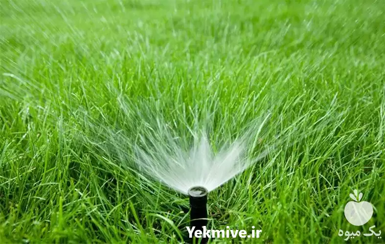 سیستم آبیاری هوشمند فضای سبز در گروه سازنده در یکمیوه -عکس1