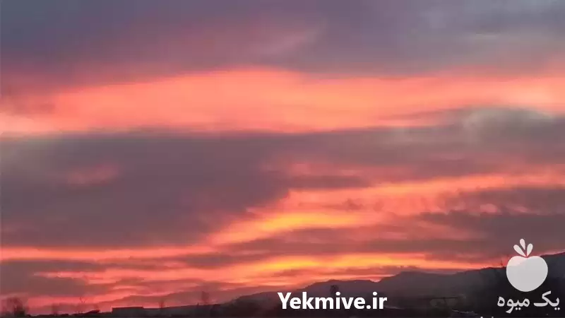 فروش آب رسان باران راه اندازی در تهران در گروه خرید و فروش دستگاه آبیاری در یکمیوه -عکس1